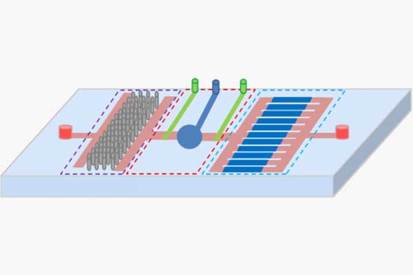 Microfluidic Chip Biosensor