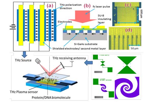 Microfluidic Chip Signal Detector